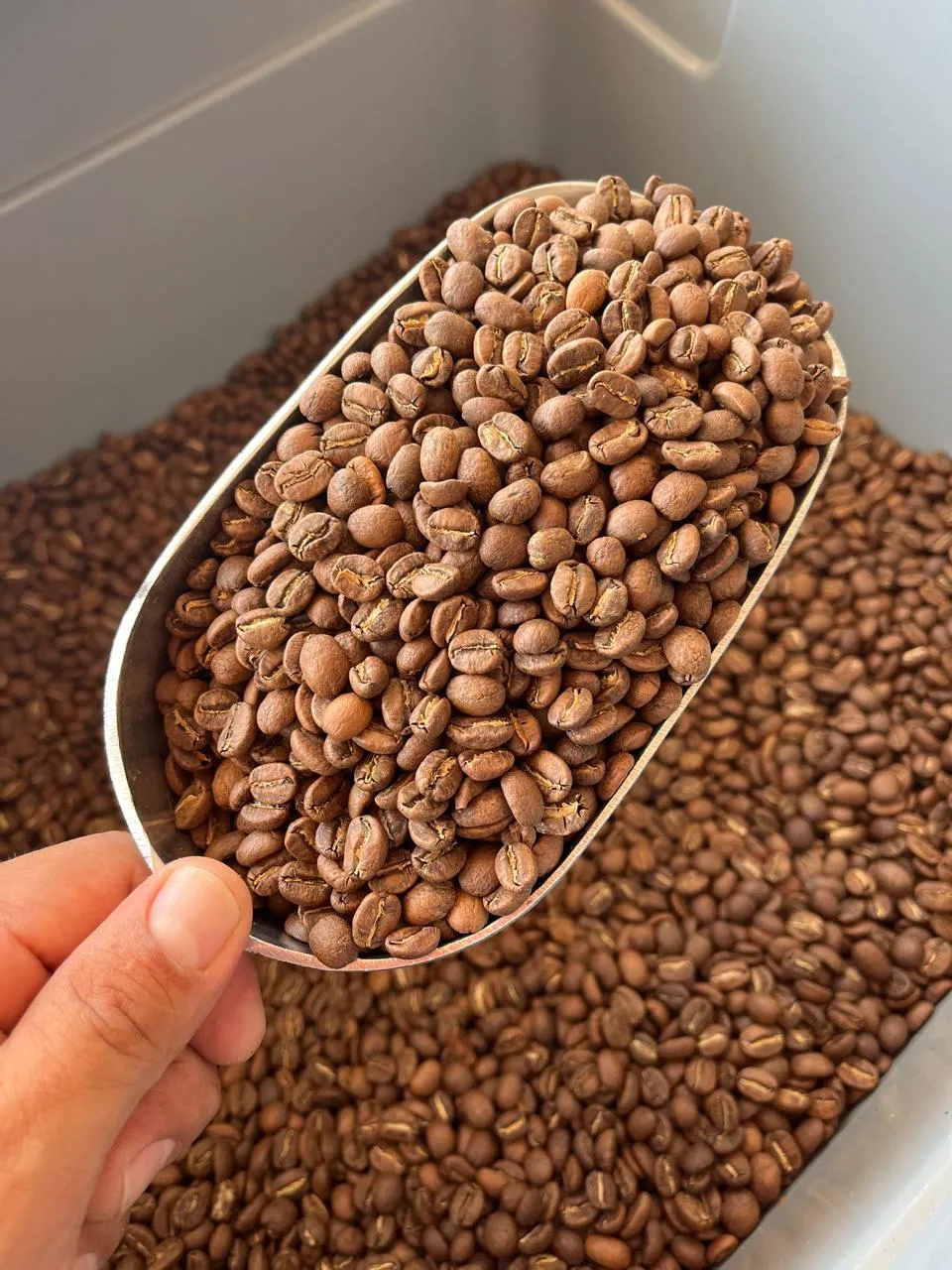 Mayoreo Granel Volcánico (1 kg)